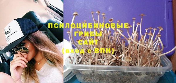 кокаин премиум Бородино