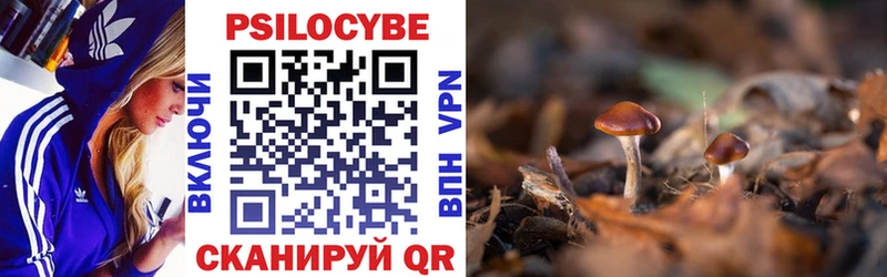 Галлюциногенные грибы Cubensis  Купить закладки  Лабинск 